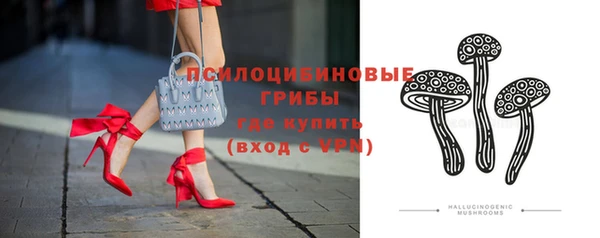 дурь Алзамай
