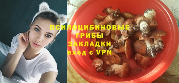 дурь Алзамай