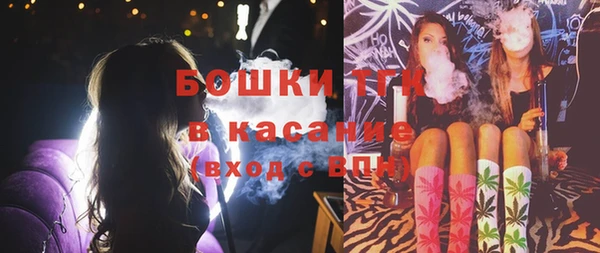 бошки Алексин