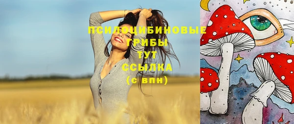 MDMA Алексеевка